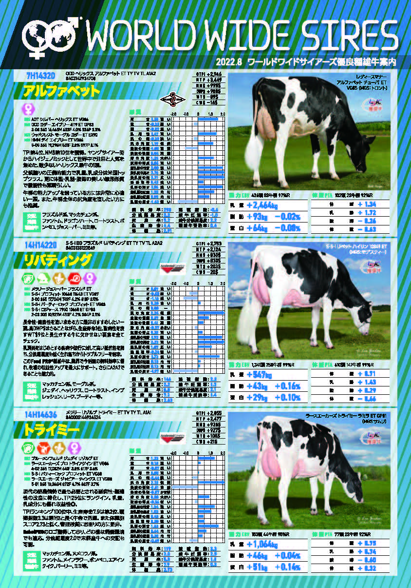 WWS 2022年4月パンフレット