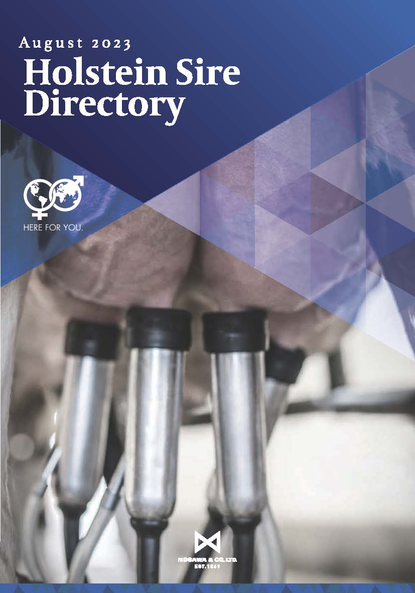 WWS 2023年08月成績版パンフレット