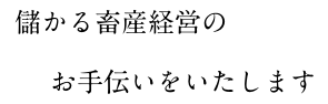 儲かる畜産経営のお手伝いをいたします