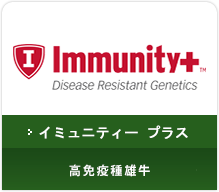 イミュニティープラス 高免疫種雄牛