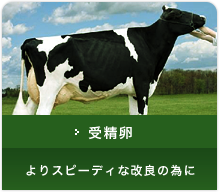 受精卵 よりスピーディな改良の為に