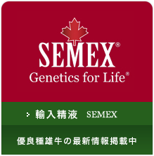 輸入精液 SEMEX　優良種雄牛の最新情報掲載中