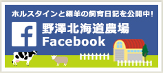野澤組　北海道農場