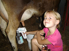 アダリーイージーミルカー