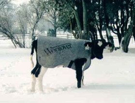 ウールオーバーの特徴