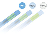 色が変わるストロー