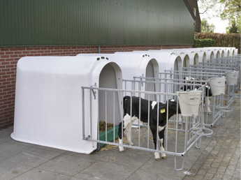 カーフオーテル