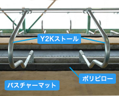 カウコンフォートゾーン