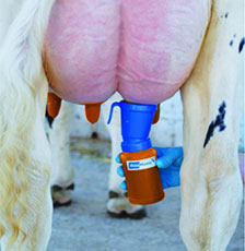 ダーマプレックス プレポスト画像