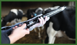 最新のおすすめ器材